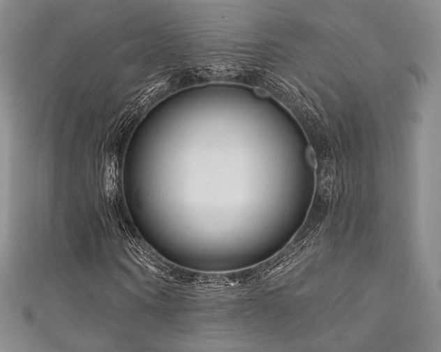 X0000111870866200907231510