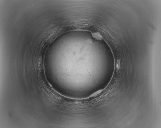 X0000111870867200907231510