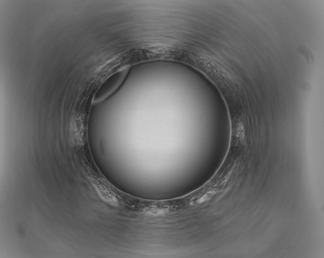 X0000111870868200907231510