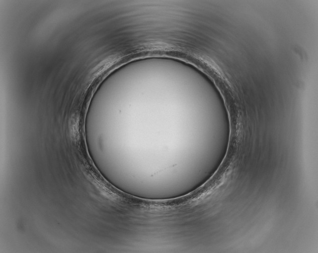 X0000111870873200907231510