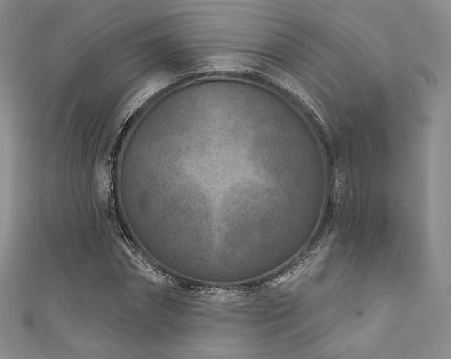 X0000111870874200907231510