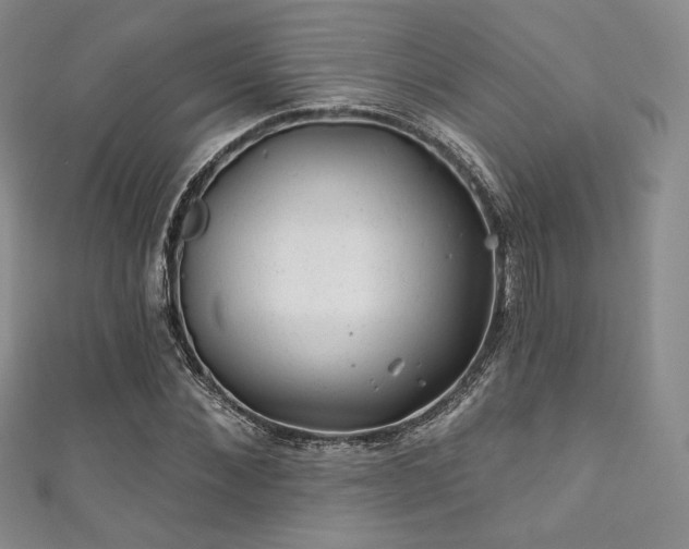 X0000111870876200907231510