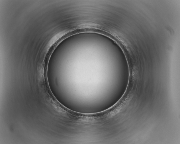 X0000111870877200907231510