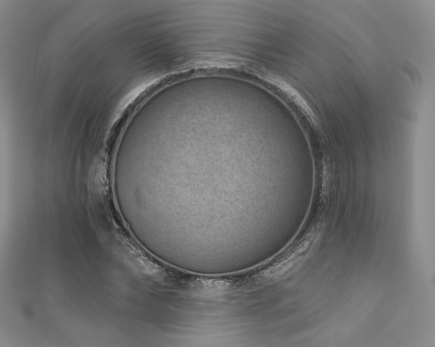 X0000111870878200907231510