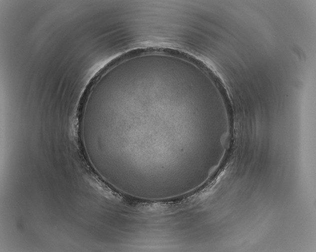 X0000111870879200907231510