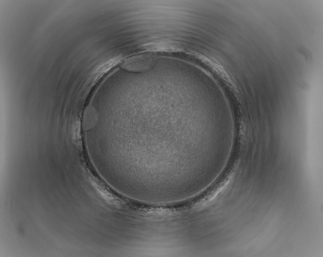 X0000111870881200907231510
