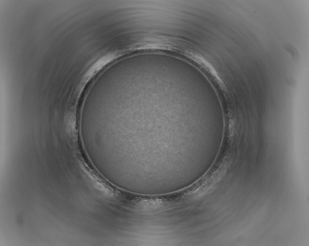 X0000111870882200907231510