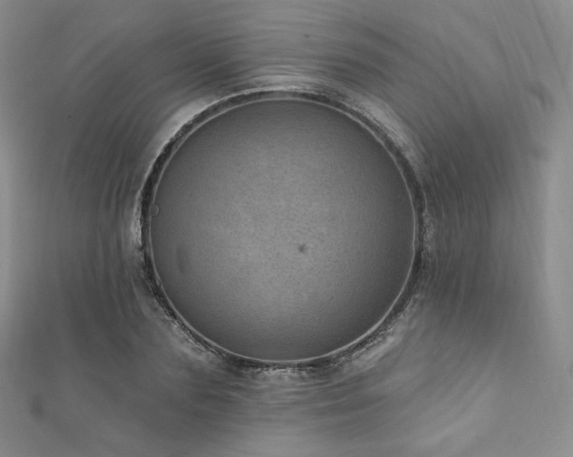 X0000111870883200907231510