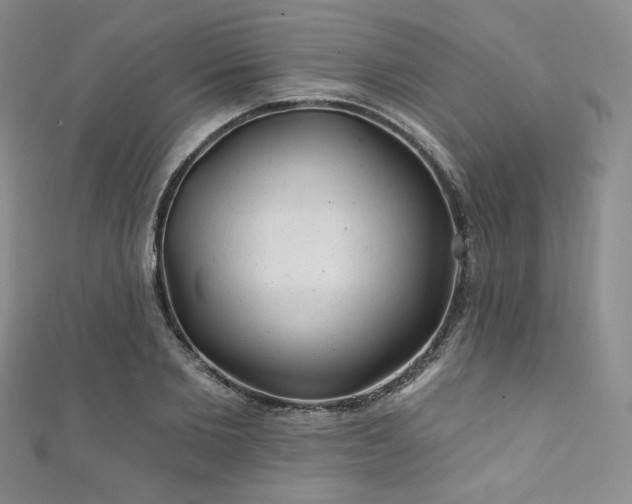 X0000111870885200907231510