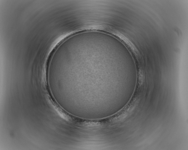X0000111870886200907231510