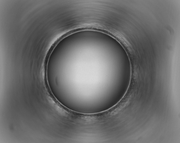 X0000111870888200907231510