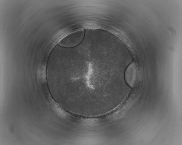 X0000111870889200907231510