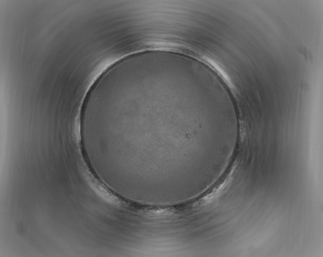 X0000111870891200907231510