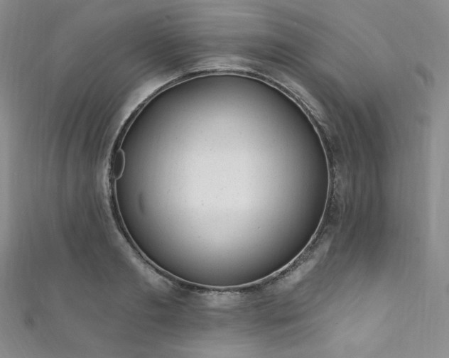 X0000111870893200907231510