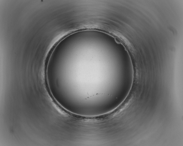 X0000111870894200907231510