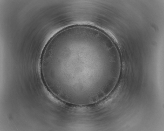 X0000111870895200907231510
