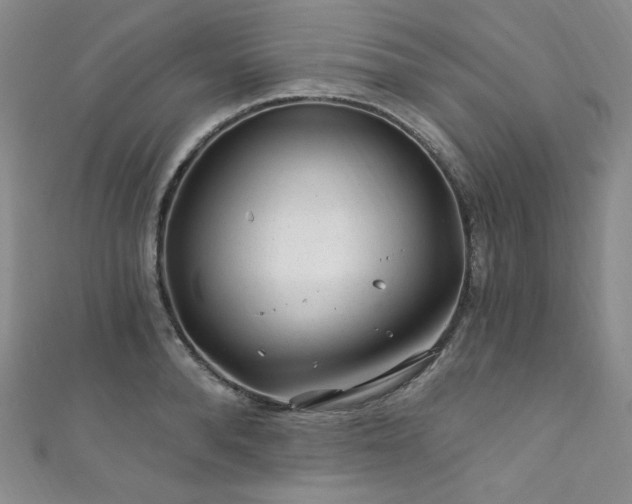 X0000111870896200907231510