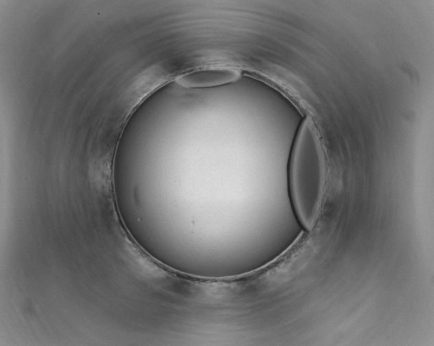 X0000111870897200907231510