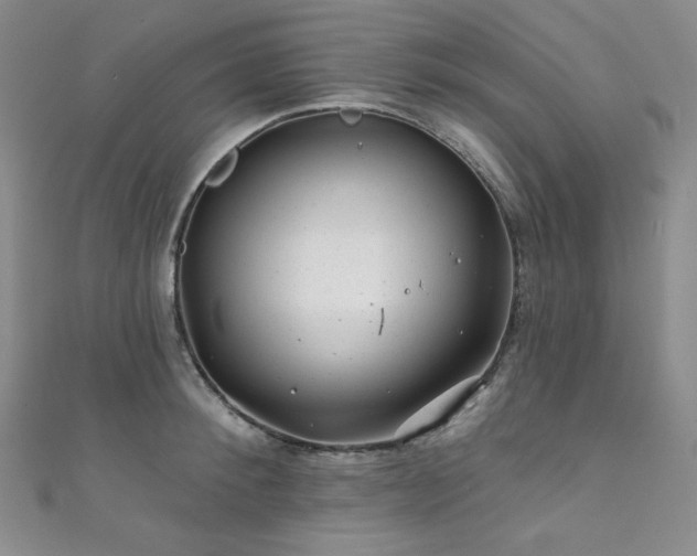 X0000111870900200907231510