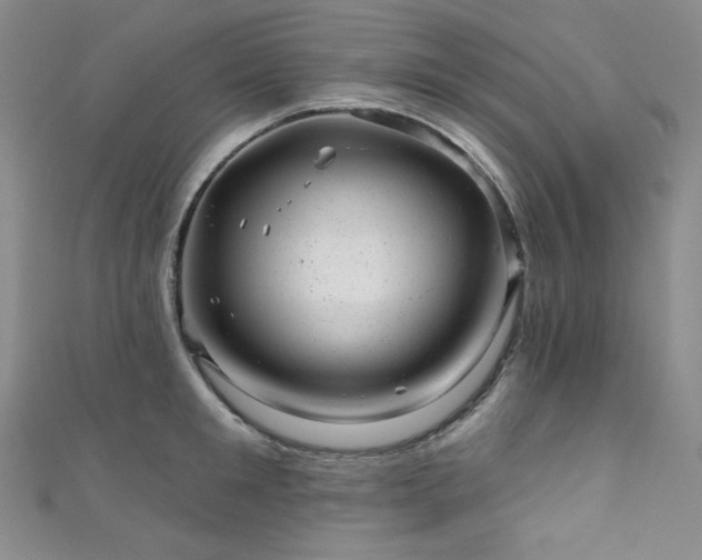 X0000111870901200907231510
