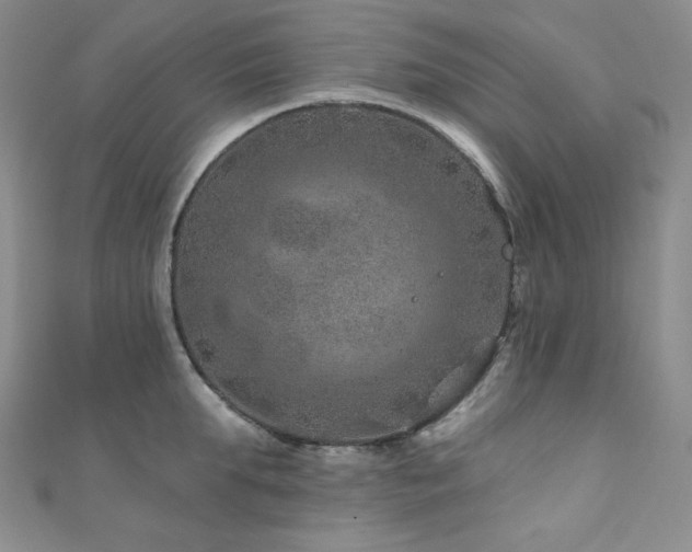 X0000111870903200907231510