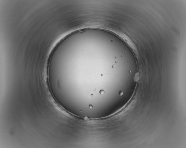 X0000111870904200907231510