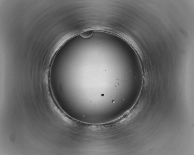 X0000111870906200907231510