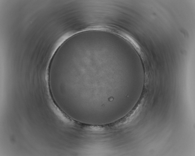 X0000111870907200907231510