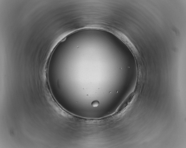 X0000111870908200907231510