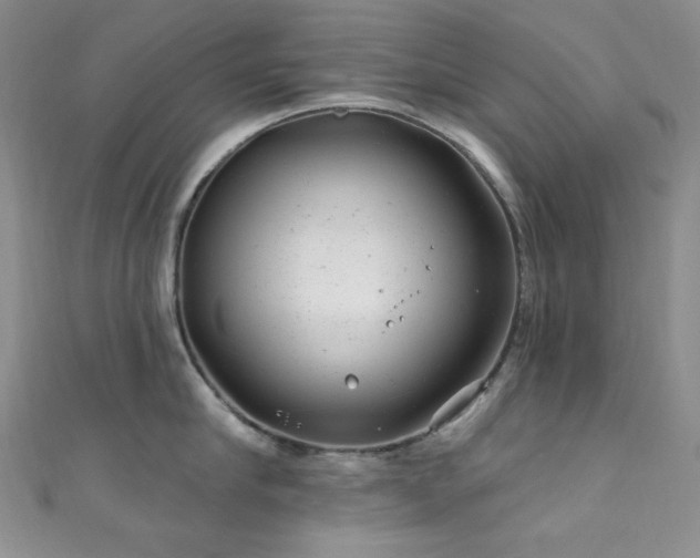 X0000111870910200907231510