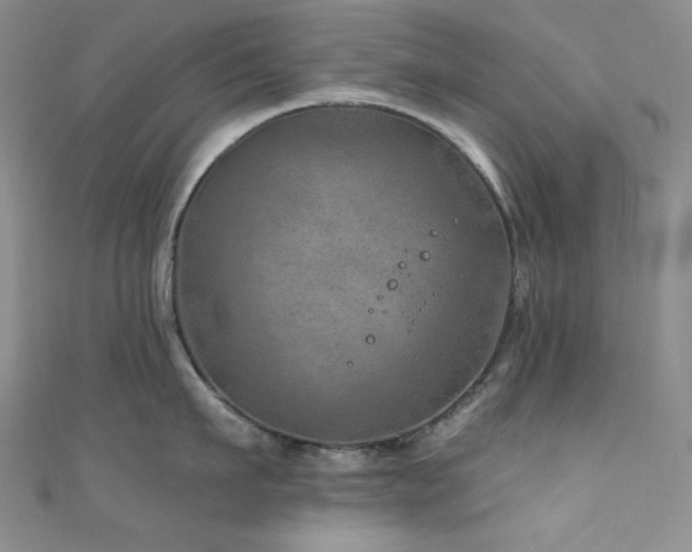 X0000111870911200907231510