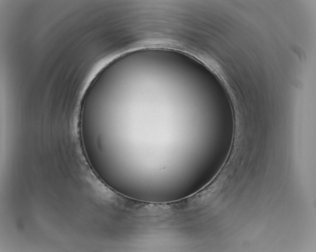 X0000111870912200907231510