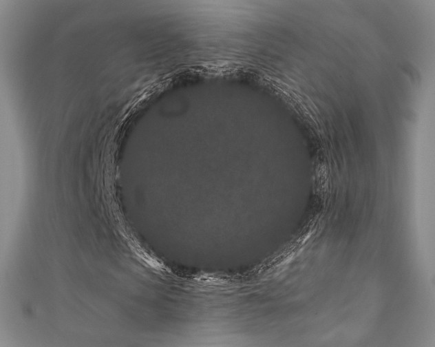 X0000111870913200907231509