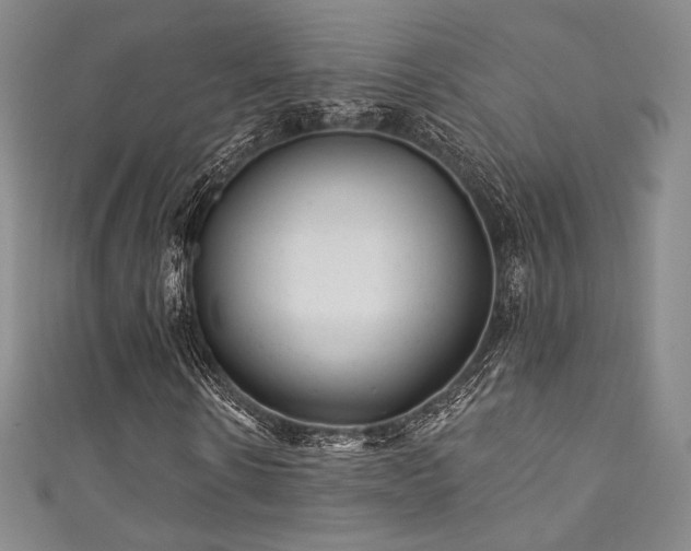X0000111870914200907231509