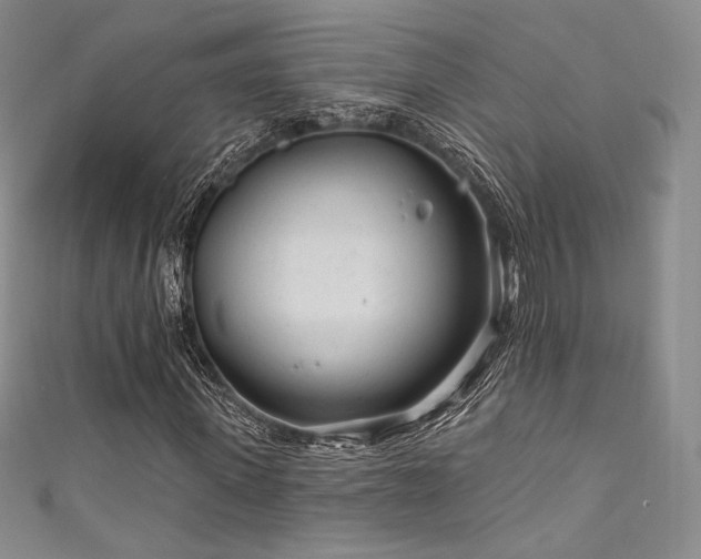 X0000111870915200907231509