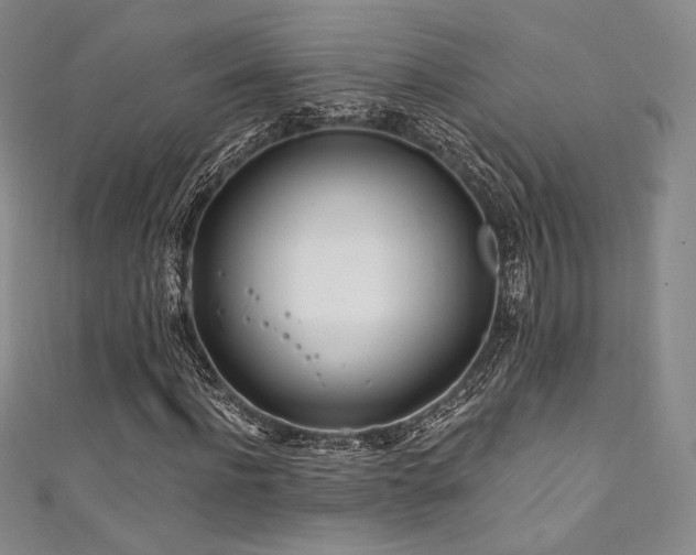 X0000111870916200907231509