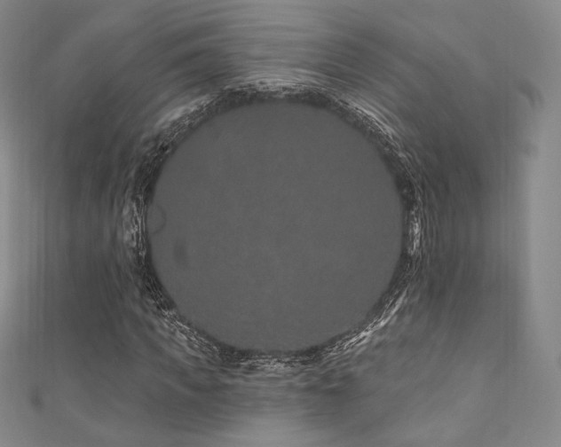 X0000111870917200907231509