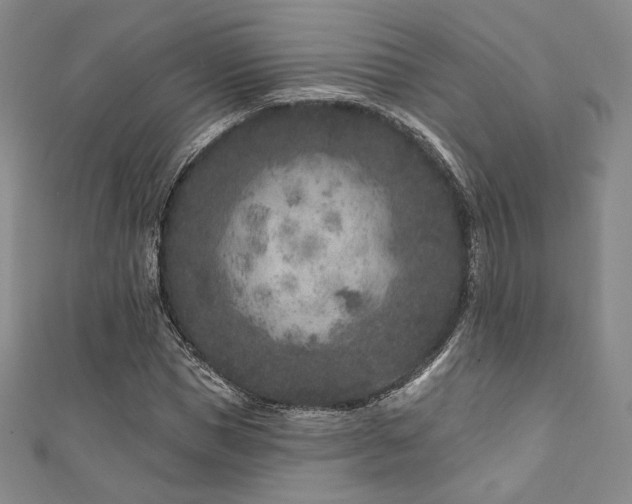X0000111870921200907231509