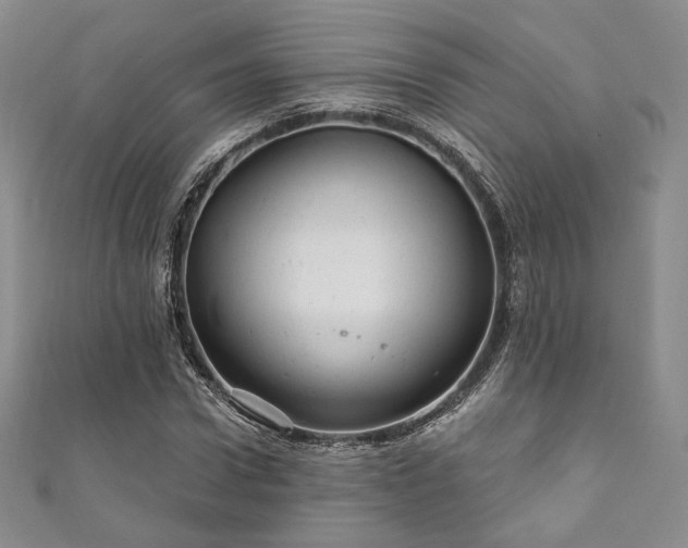 X0000111870922200907231509