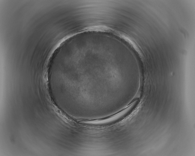 X0000111870923200907231509