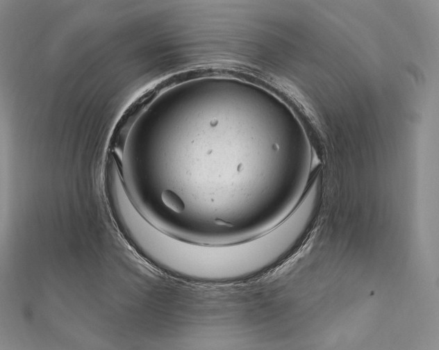 X0000111870924200907231509