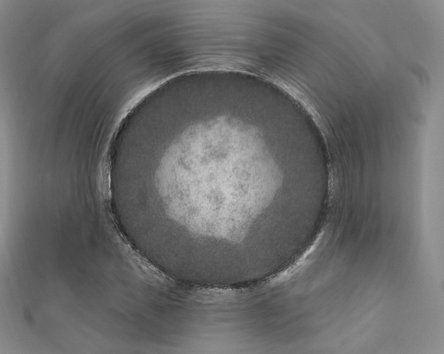 X0000111870925200907231509
