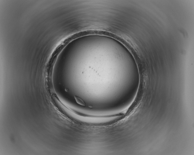 X0000111870926200907231509