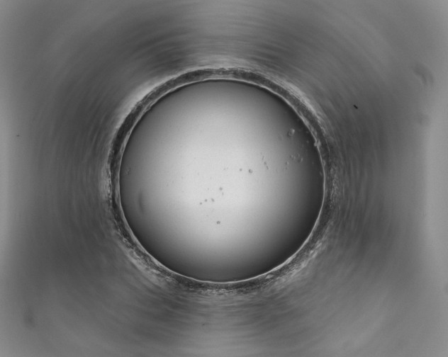X0000111870927200907231509