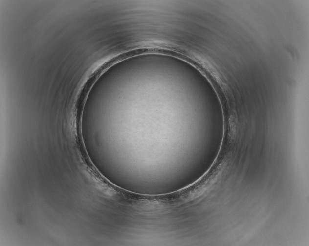 X0000111870931200907231509