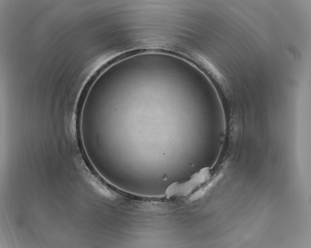 X0000111870932200907231509