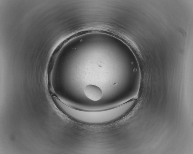 X0000111870936200907231510