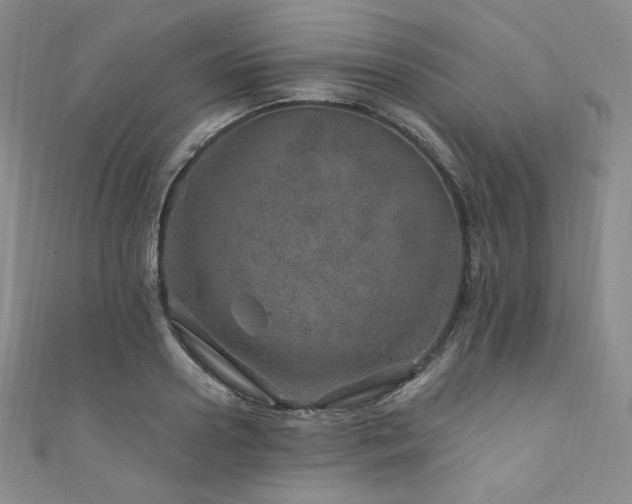 X0000111870938200907231510