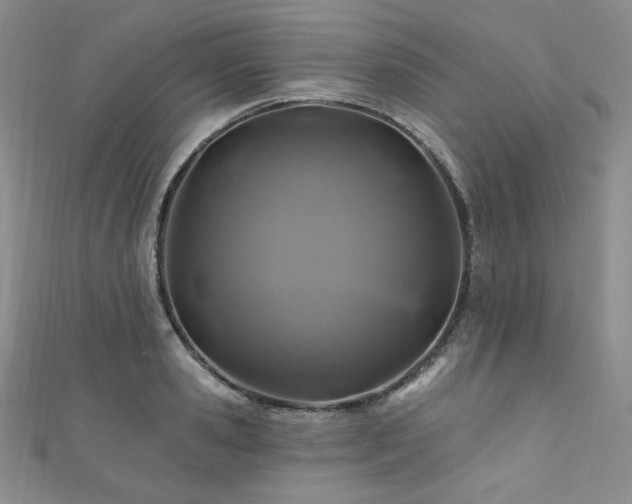 X0000111870941200907231510