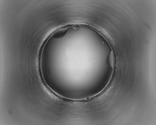 X0000111870942200907231510